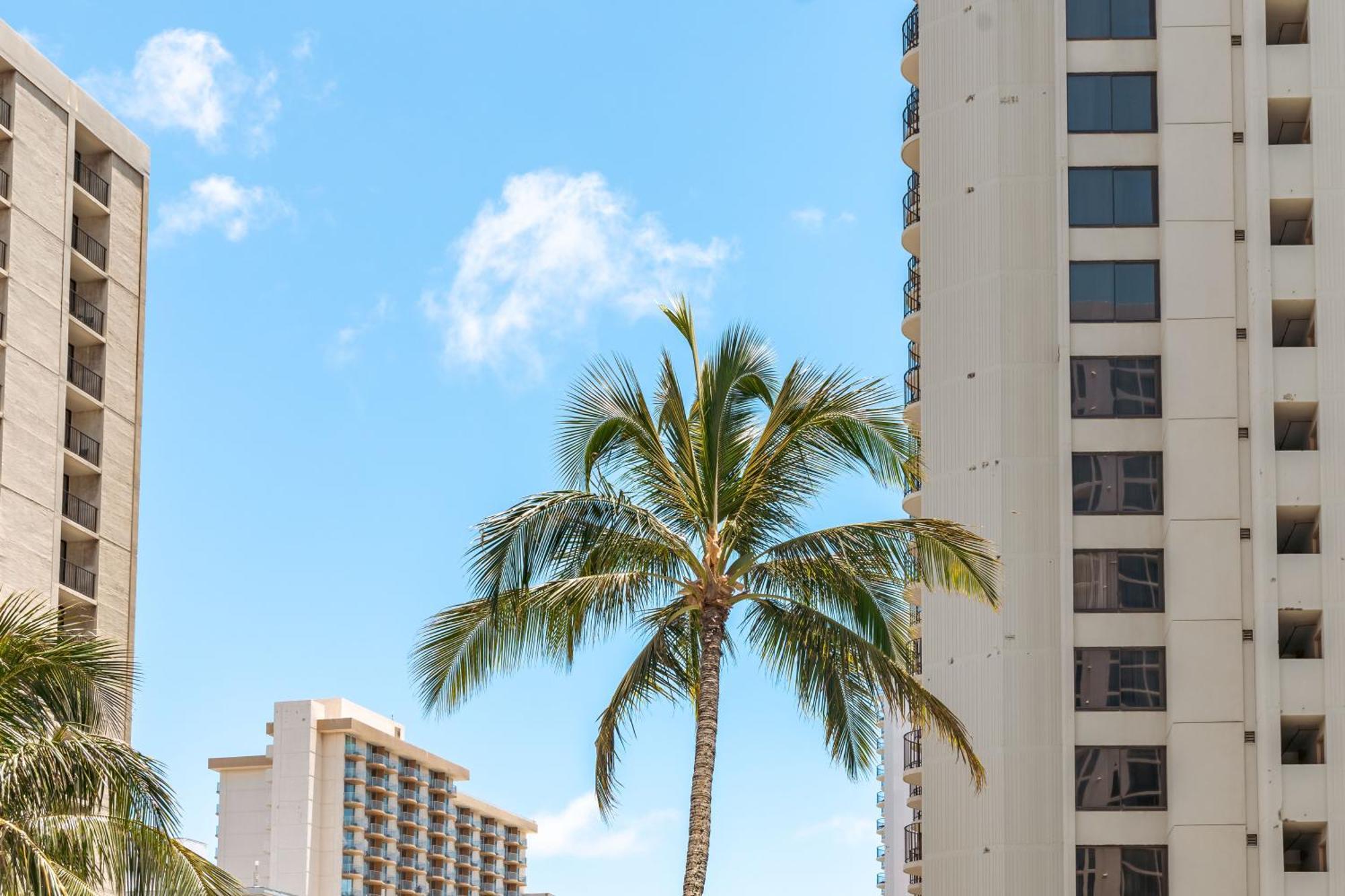 Cozy Waikiki Getaway, Stroll To Beach With Free Parking Honolulu Dış mekan fotoğraf