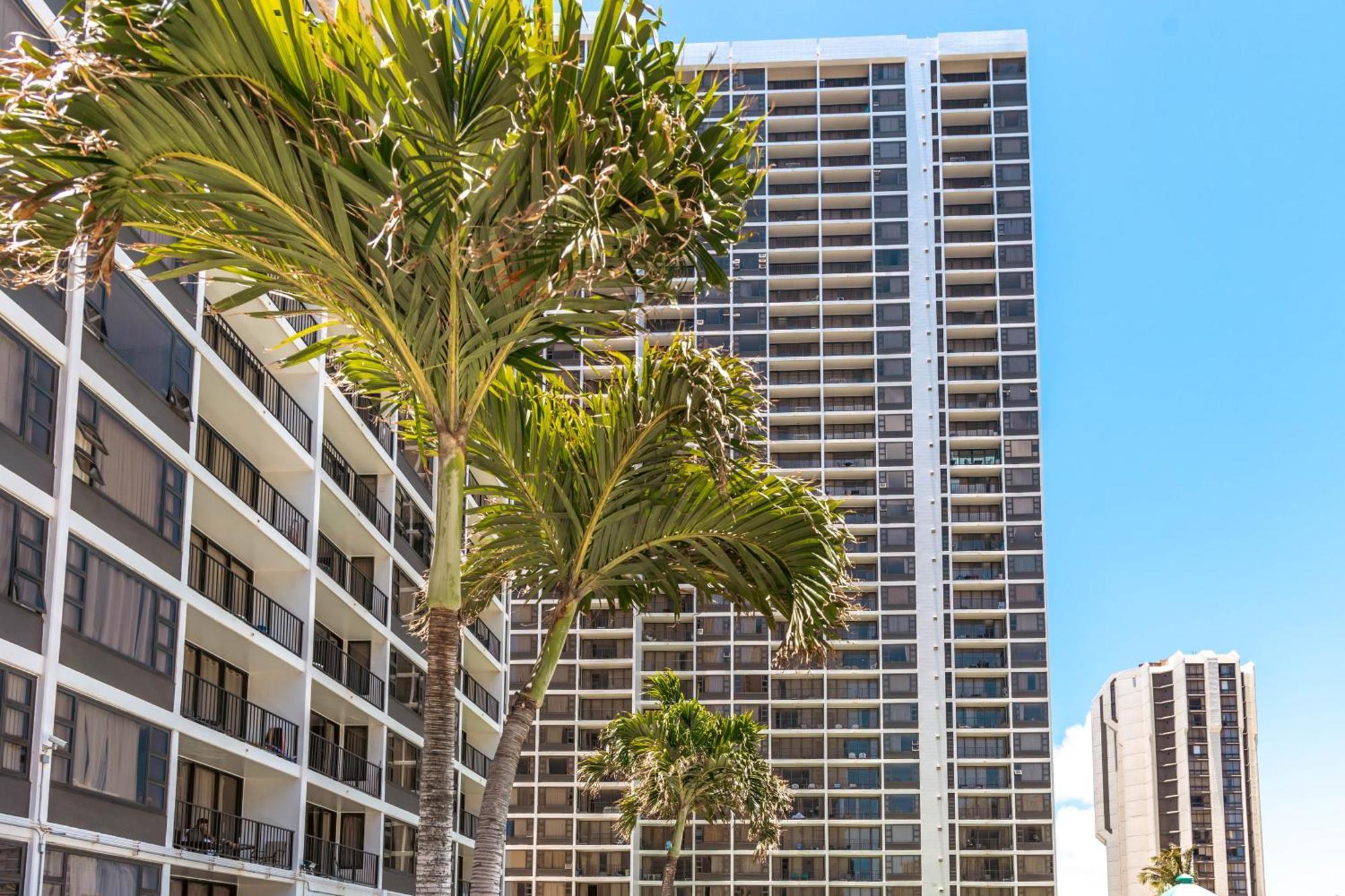 Cozy Waikiki Getaway, Stroll To Beach With Free Parking Honolulu Dış mekan fotoğraf