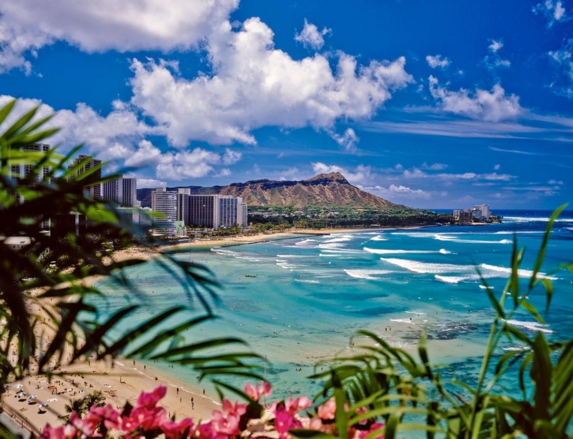 Cozy Waikiki Getaway, Stroll To Beach With Free Parking Honolulu Dış mekan fotoğraf