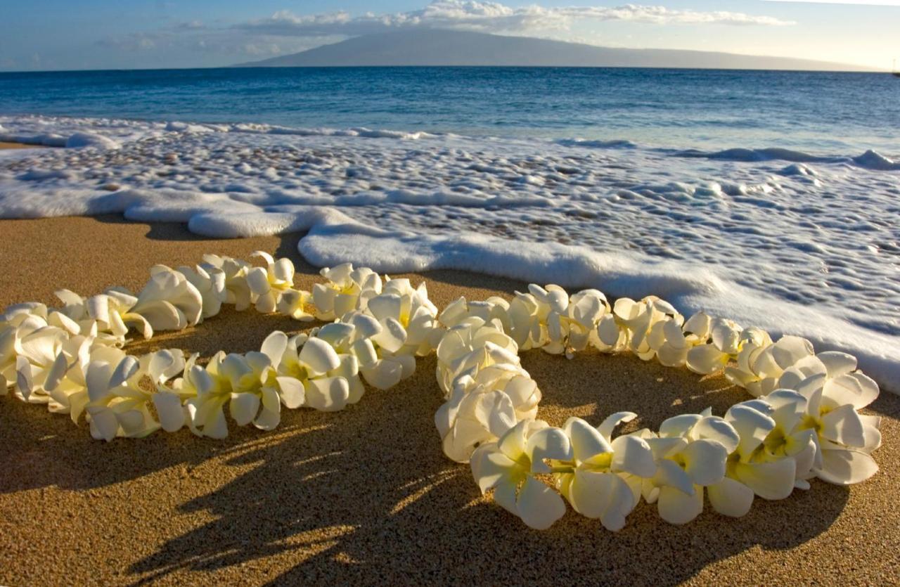 Cozy Waikiki Getaway, Stroll To Beach With Free Parking Honolulu Dış mekan fotoğraf